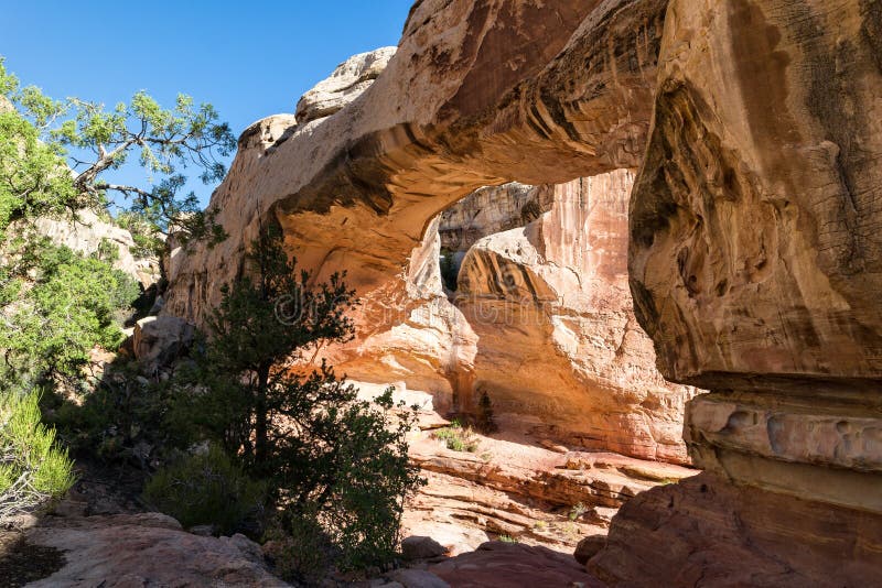 Hickman Bridge stock photo. Image of beautiful, escalante 60956798