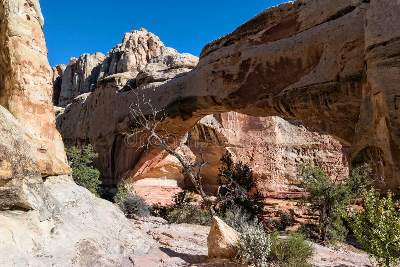 Hickman Bridge stock photo. Image of cliffs, formation 60967970