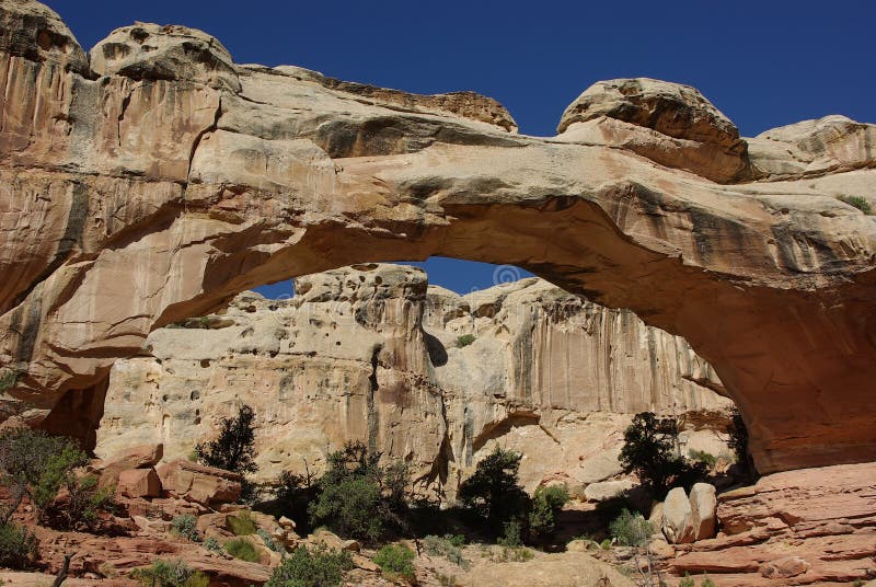 Hickman Bridge in Capitol Reef Stock Photo Image of trail, capitol