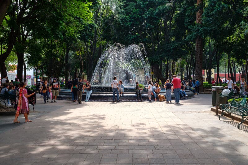 Hidalgo de Jardin, un parque hermoso en la vecindad histórica de Coyoacan en Ciudad de México foto de archivo Hidalgo de Jardin, un parque hermoso en la vecindad histórica de Coyoacan en Ciudad de México foto de archivo