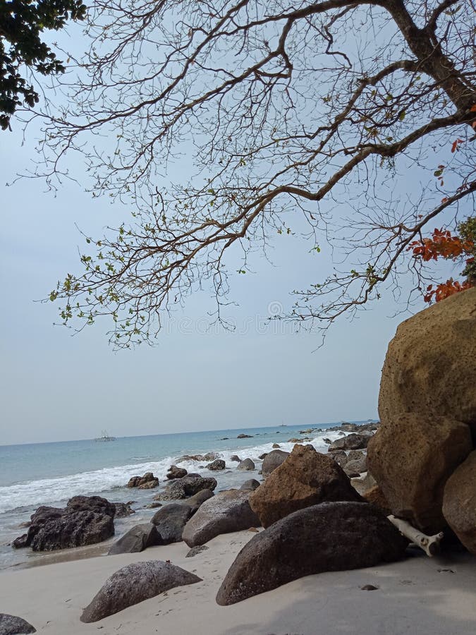 Hidden beutyful beach stock image. Image of tree, hidden - 266810531