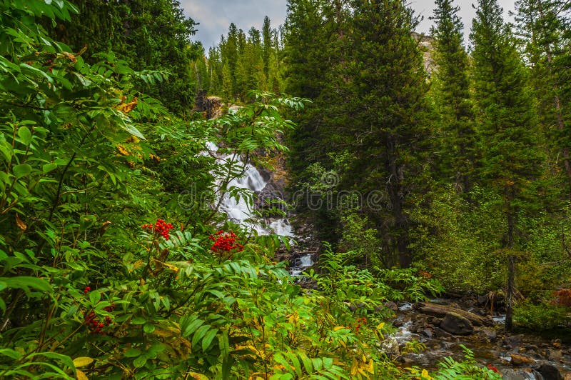 Hidden Falls - Grant Teton