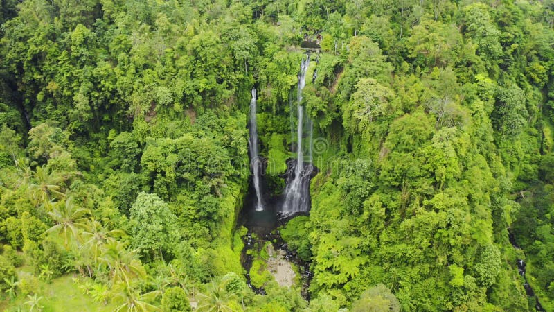 Hidden in jungles beautiful Sekumpul waterfall on Bali, Indonesia. Aerial view 4K