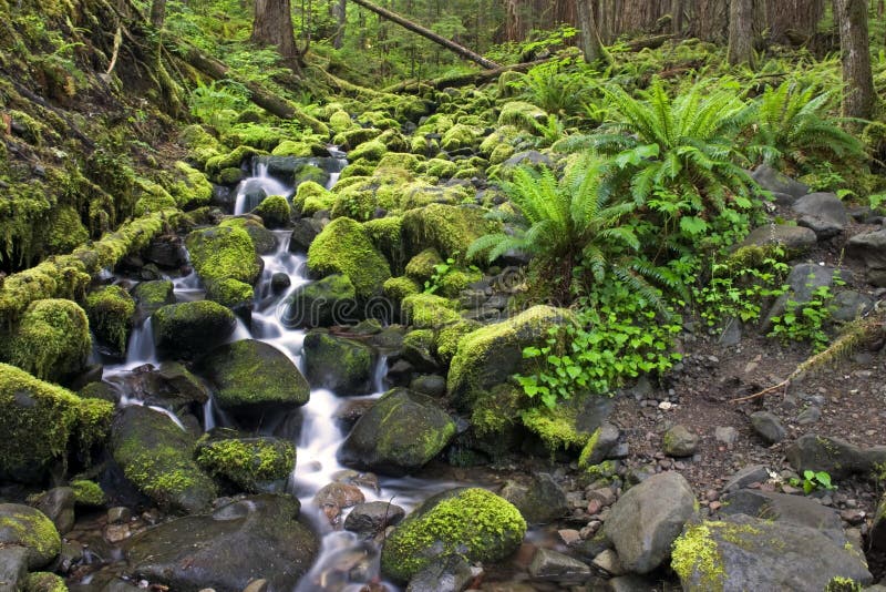 Hidden waterfall stream royalty free stock photos