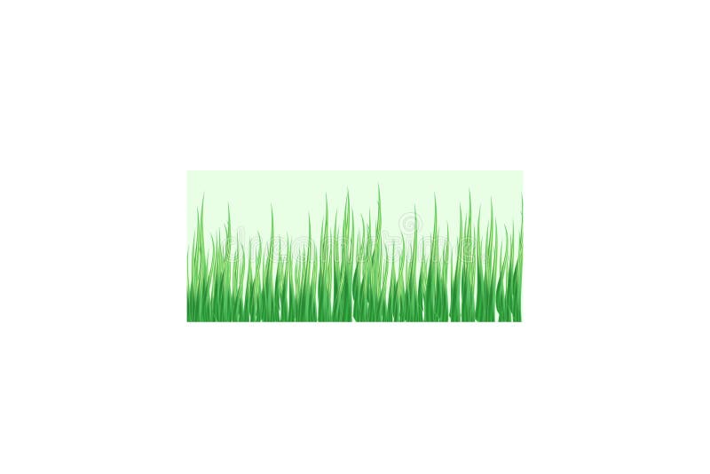 Hierba verde en un fondo transparente claro en la hierba del bosque Manzanillas en el claro libre illustration Hierba verde en un fondo transparente claro en la hierba del bosque Manzanillas en el claro libre illustration
