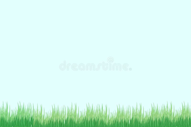 Hierba verde en un fondo transparente claro en la hierba del bosque Manzanillas en el claro ilustración del vector Hierba verde en un fondo transparente claro en la hierba del bosque Manzanillas en el claro ilustración del vector
