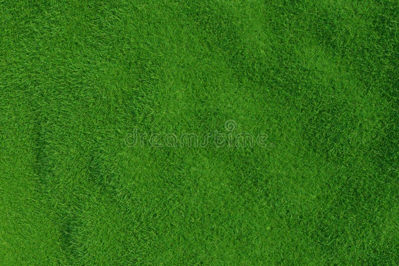 Hierba verde Textura del fondo foto de archivo libre de regalías Hierba verde Textura del fondo foto de archivo libre de regalías