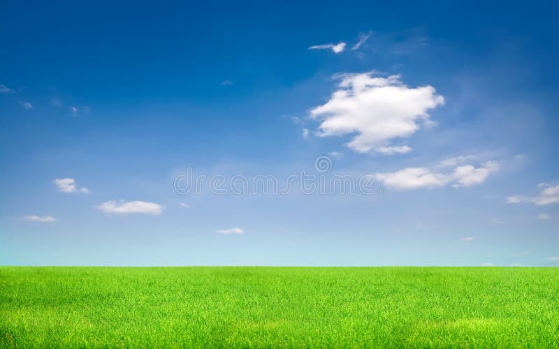 Hierba verde y cielo azul
