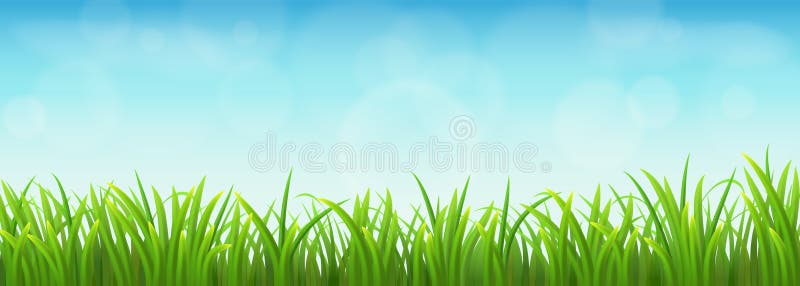 Hierba verde y cielo azul