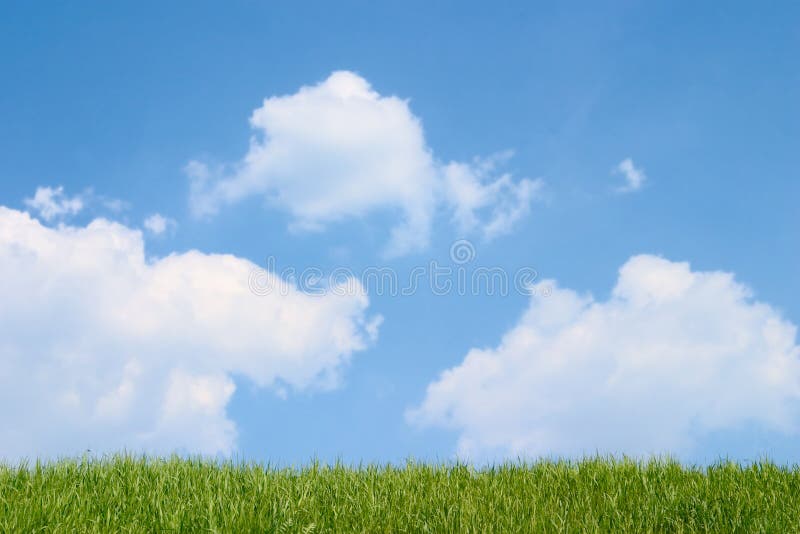 Hierba verde y cielo azul nublado imagenes de archivo Hierba verde y cielo azul nublado imagenes de archivo