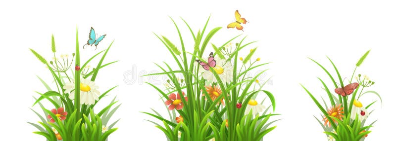 Hierba verde y flores fijadas