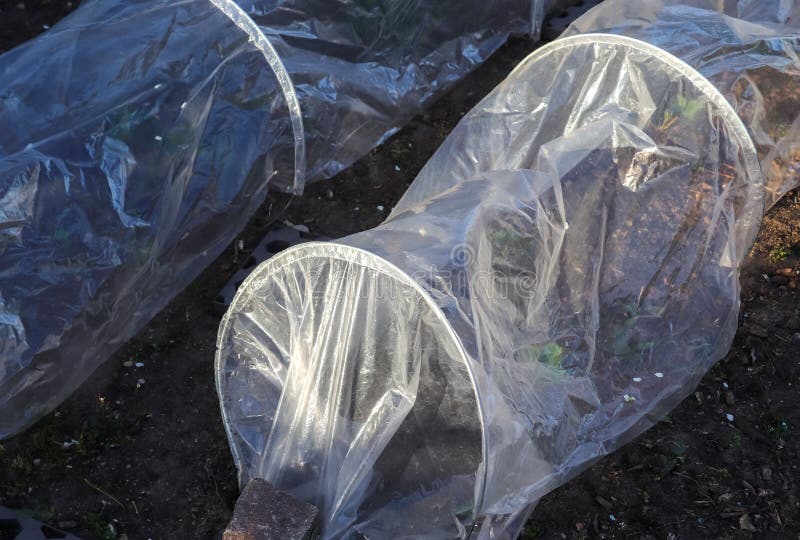 High Angle Shot of a Plastic Cover on Plants Stock Photo Image of