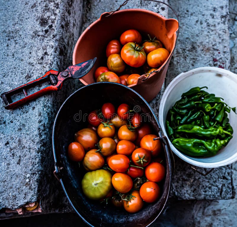 High Angle Shot of Tomatoes and Green Chili Peppers in Buckets Stock