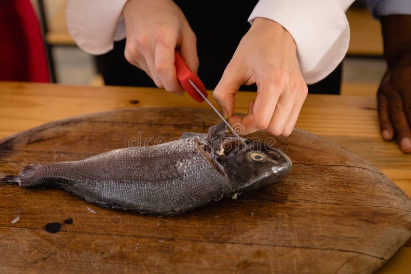 Chef cooking a fish stock photo. Image of making, head 171545684