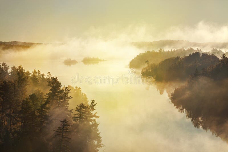 High angle view of misty lake and pines at sunrise in the boundary waters of Minnesota