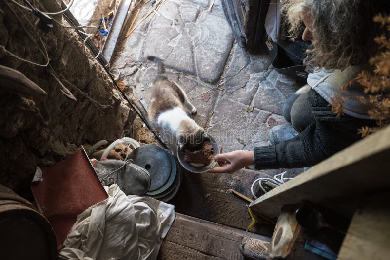 High angle view of old man with unkempt long gray hair feeding c