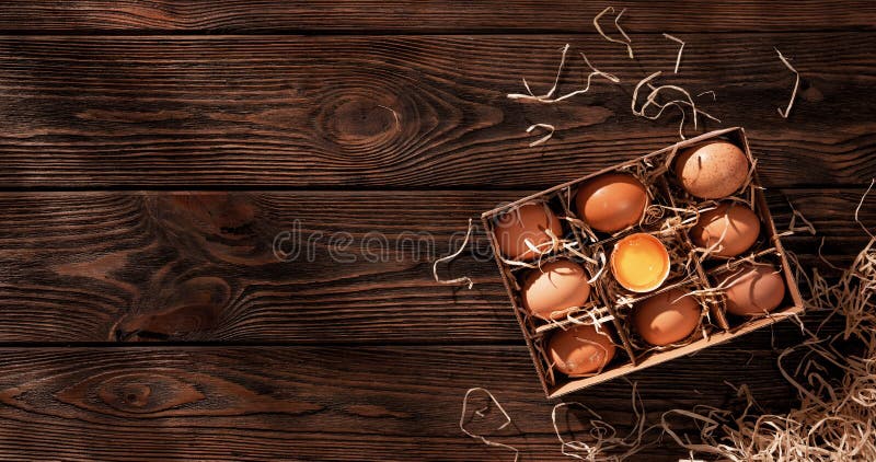 High angle view of organic eggs stock photography