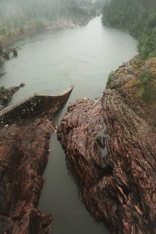 High angle view of river amidst trees royalty free stock photography
