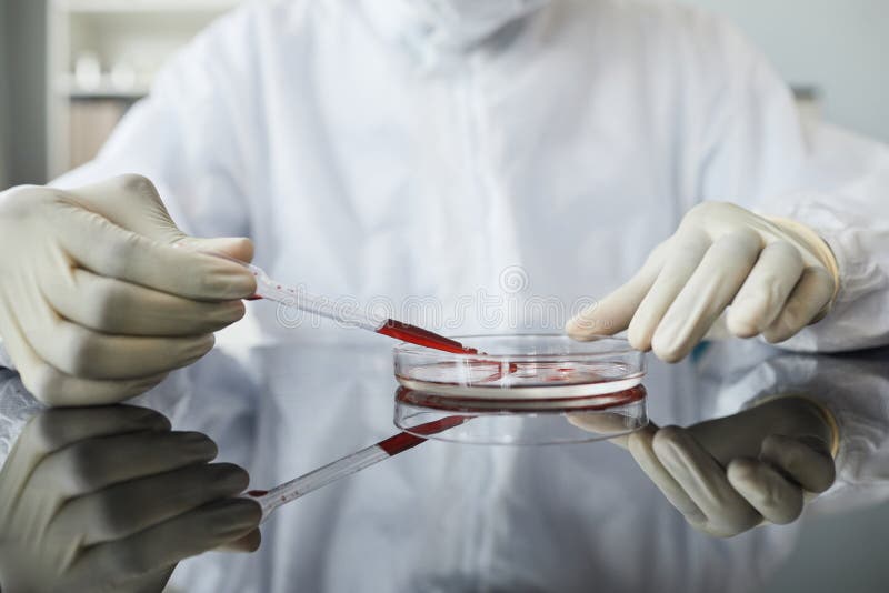 Blood Tests in Biotech Laboratory Stock Image - Image of science ...