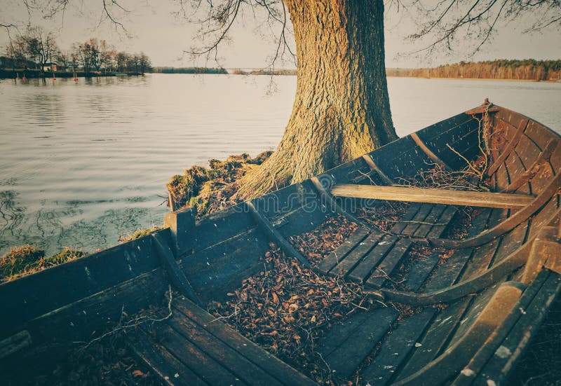 High angle view of tree by lake against sky stock images