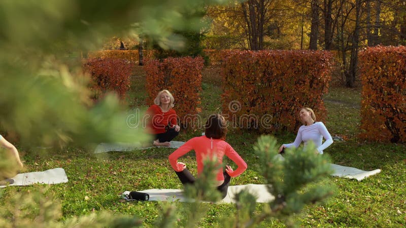 High angle view of women relaxing during zen meditation in park