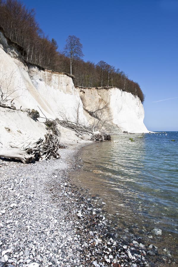 High Chalk Cliffs at the Coast of Ruegen Stock Photo Image of sand
