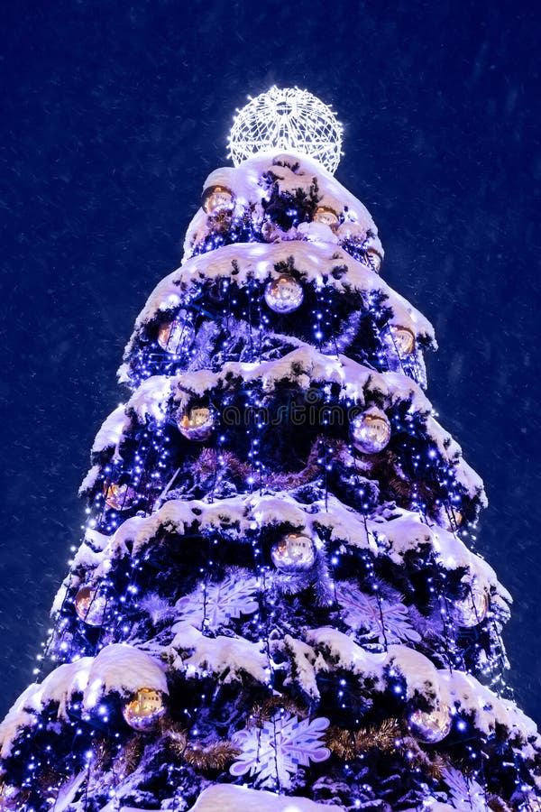 High Christmas Tree in Blue Lights Covered in Soft Snow with Dec Stock