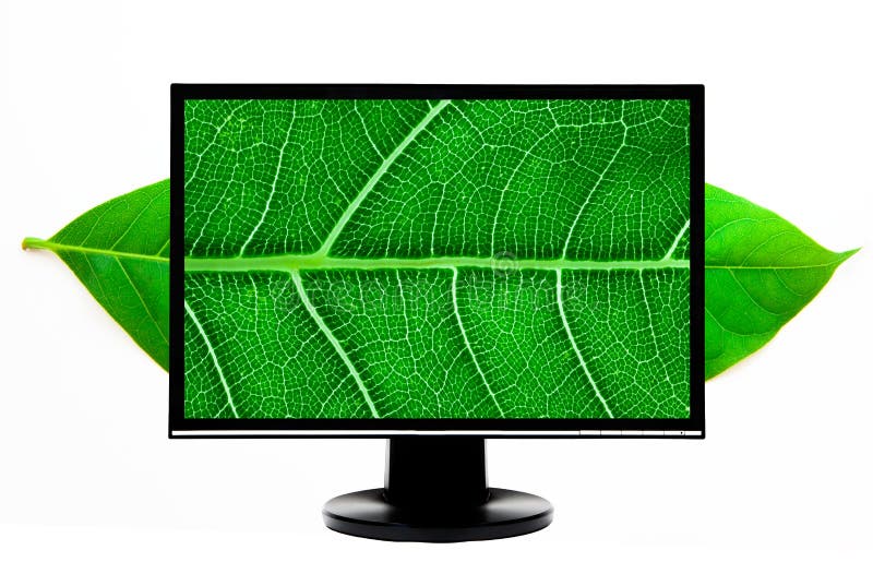 High Definition computer monitor royalty free stock image