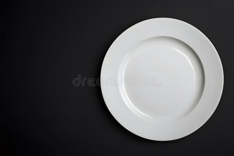 High-end dinner plate, negative space on side for restaurant or menu text layout vector illustration