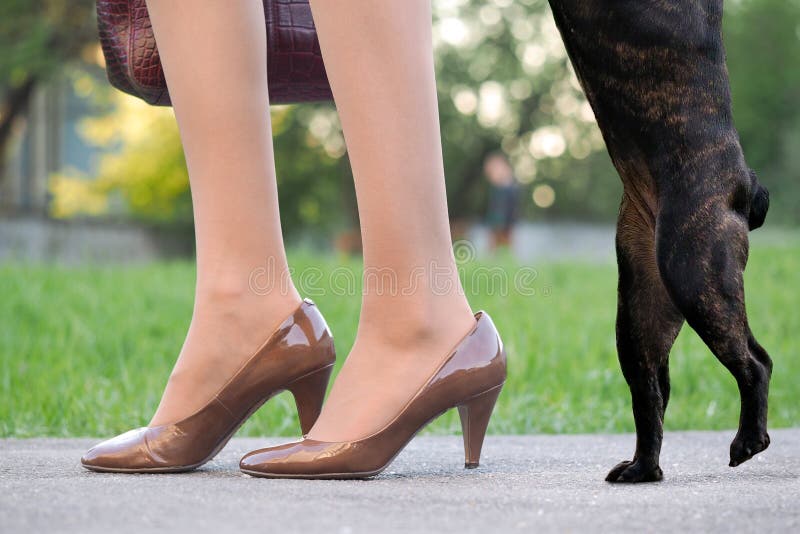 1,591 Funny Heels High Woman Stock Photos - Free & Royalty-Free Stock  Photos from Dreamstime