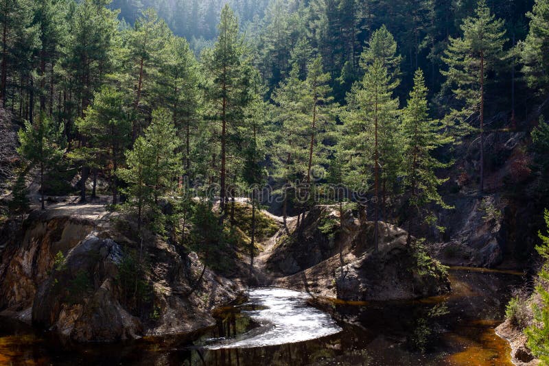 High Mountain Lake in the middle of Spruce Tall Pine and Spruce trees. Landscape Background.