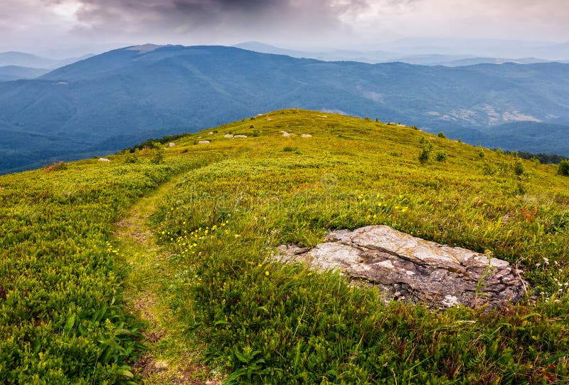 High Mountain Panorama View Stock Photo Image of summer, pine 72445130