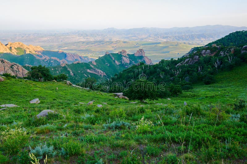 The high mountain meadow sunset