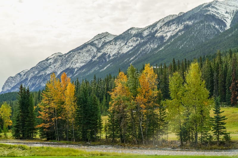 High snow-covered mountain range with green and yellow forest in the foreground