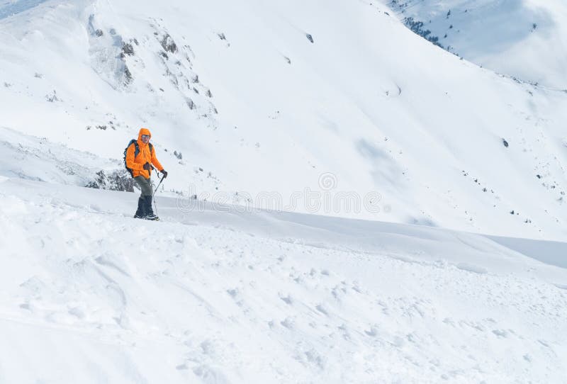 High mountaineer dressed bright orange softshell jacket using a trekking poles ascending the snowy mountain summit. Active people