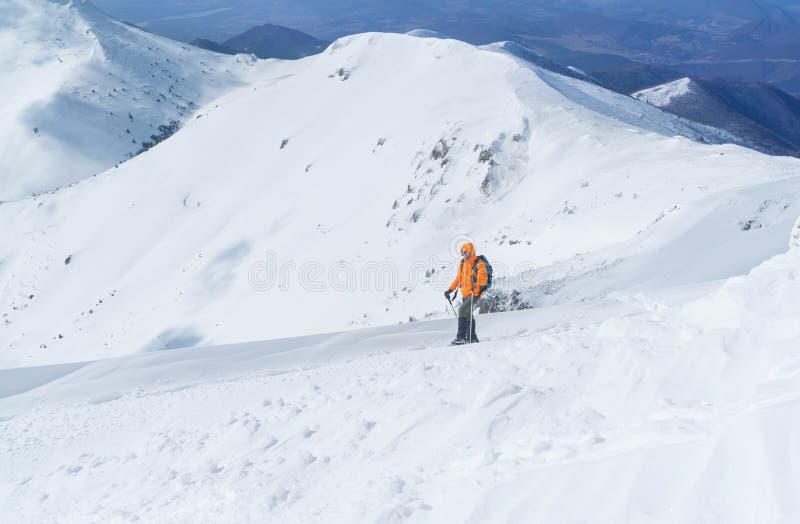 High mountaineer dressed bright orange softshell jacket using a trekking poles ascending the snowy mountain summit. Active people