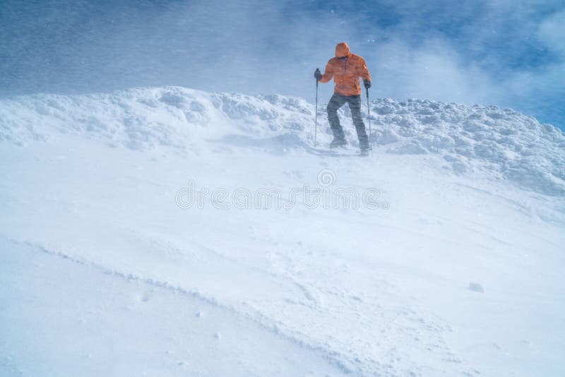 High mountaineer dressed bright orange softshell jacket using a trekking poles descending the snowy mountain summit. Active