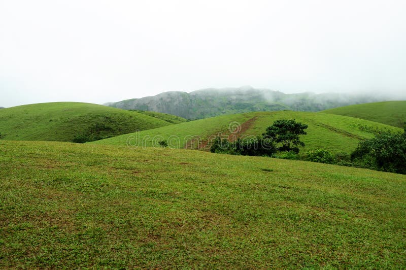 The high mountains tropical forest with clouds passing in India. royalty free stock photo