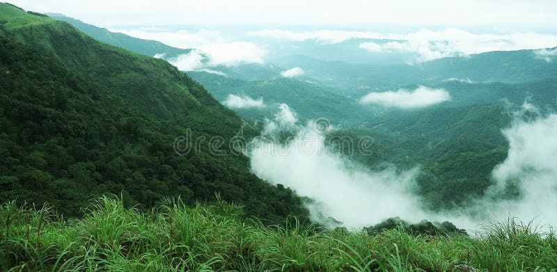 The high mountains tropical forest with clouds passing in India. stock images