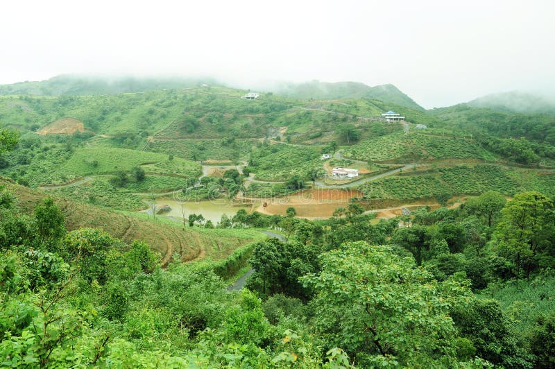 The high mountains tropical forest with clouds passing in India. stock images