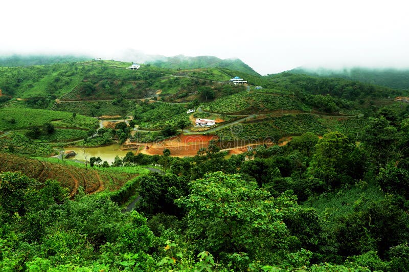 The high mountains tropical forest with clouds passing in India. stock photography