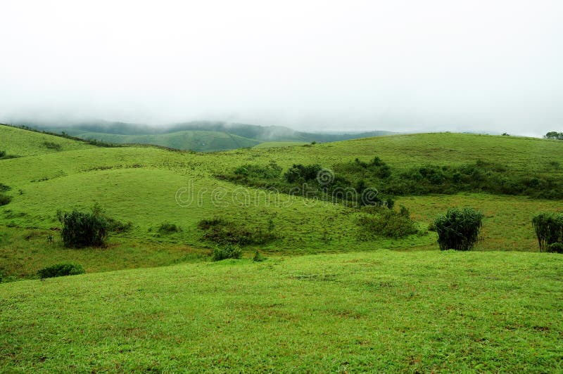 The high mountains tropical forest with clouds passing in India. stock photography