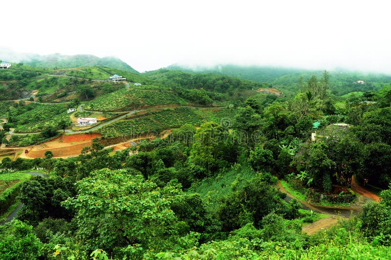 The high mountains tropical forest with clouds passing in India. royalty free stock image