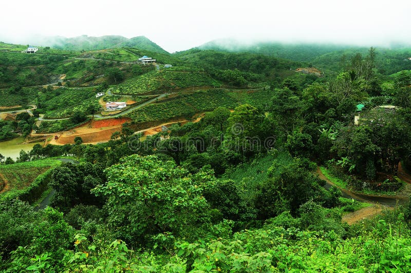 The high mountains tropical forest with clouds passing in India. royalty free stock photography