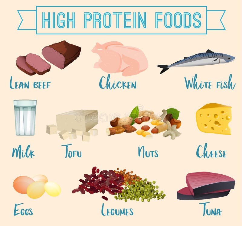 High protein foods set stock vector. Illustration of icon - 119268134