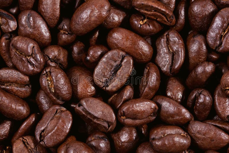 High Quality Fresh Roasted Coffee Beans Stock Image Image of gourmet