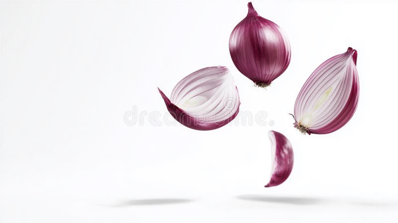 High-quality image of fresh red onions cut in half, floating in mid-air with white isolated background royalty free stock image