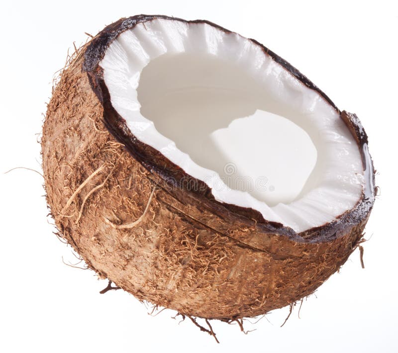 High-quality photos of coconuts.