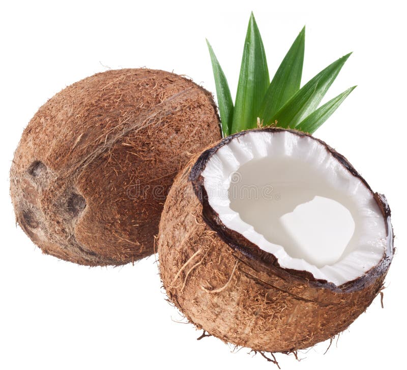 High-quality photos of coconuts.