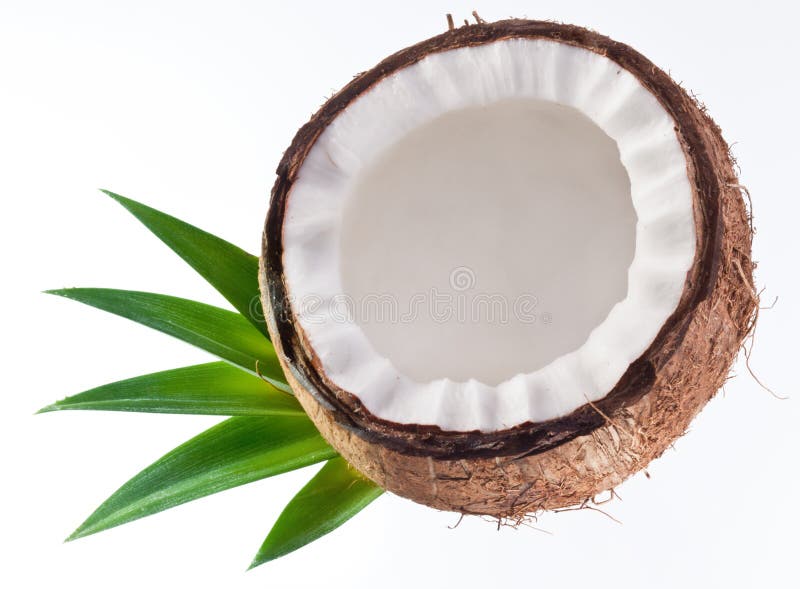 High-quality photos of coconuts